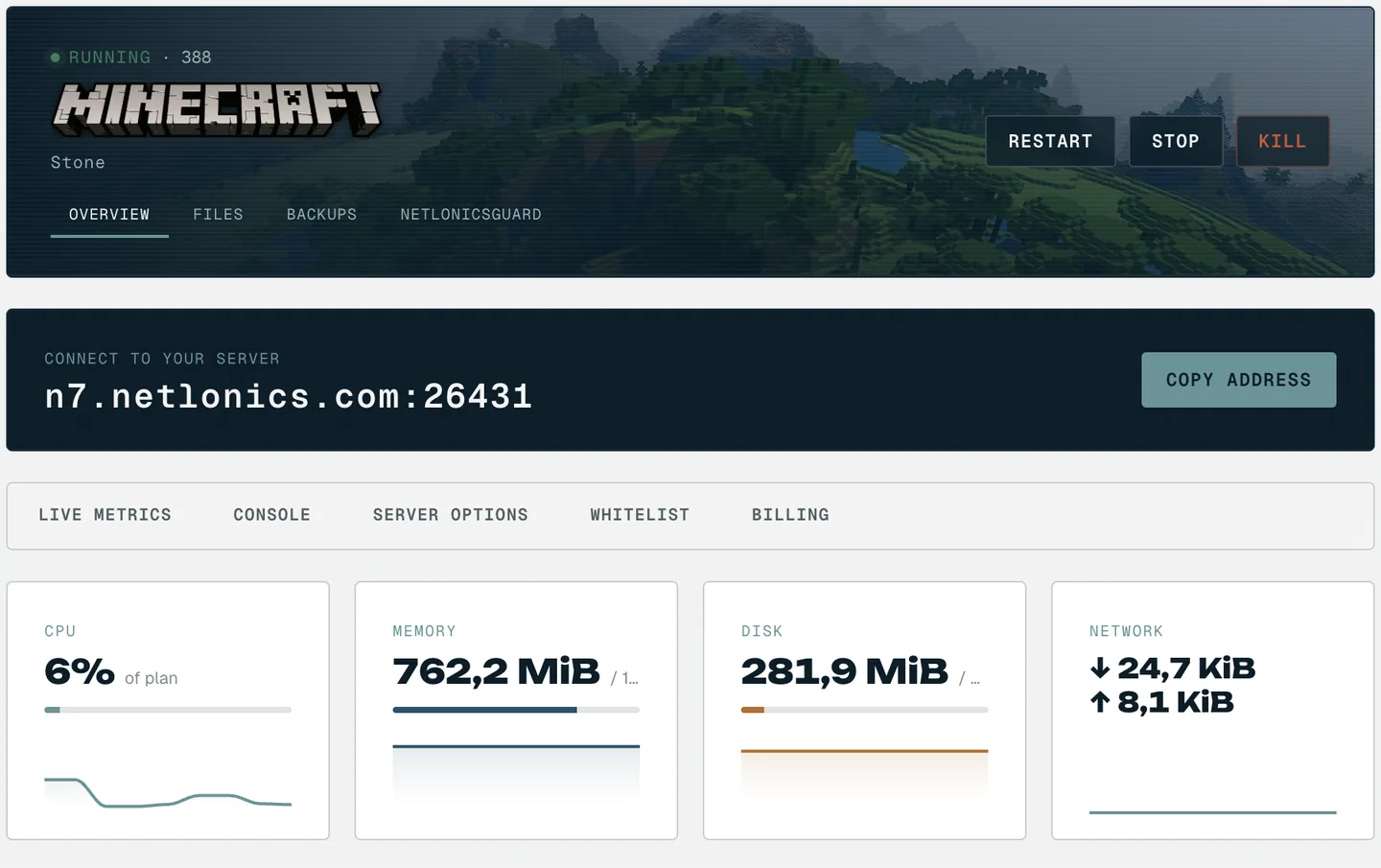 Het Netlonics-controlepaneel met een draaiende Minecraft-server: power-knoppen, serveradres en live resourcemetingen