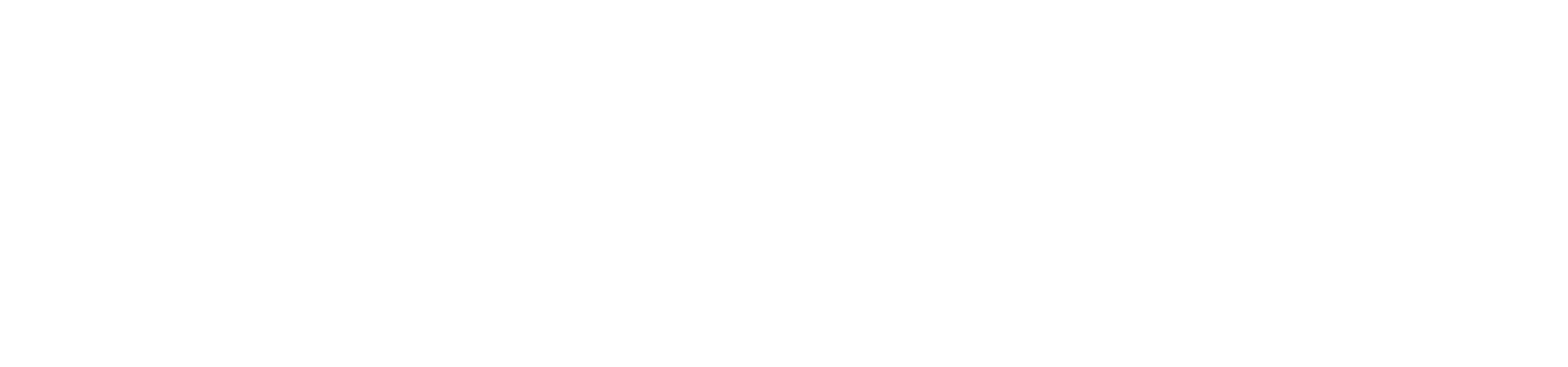 Windrose logo
